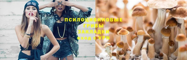 альфа пвп Володарск
