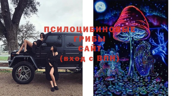 тгк Волосово